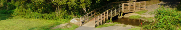Park Wooden Bridge and Stream